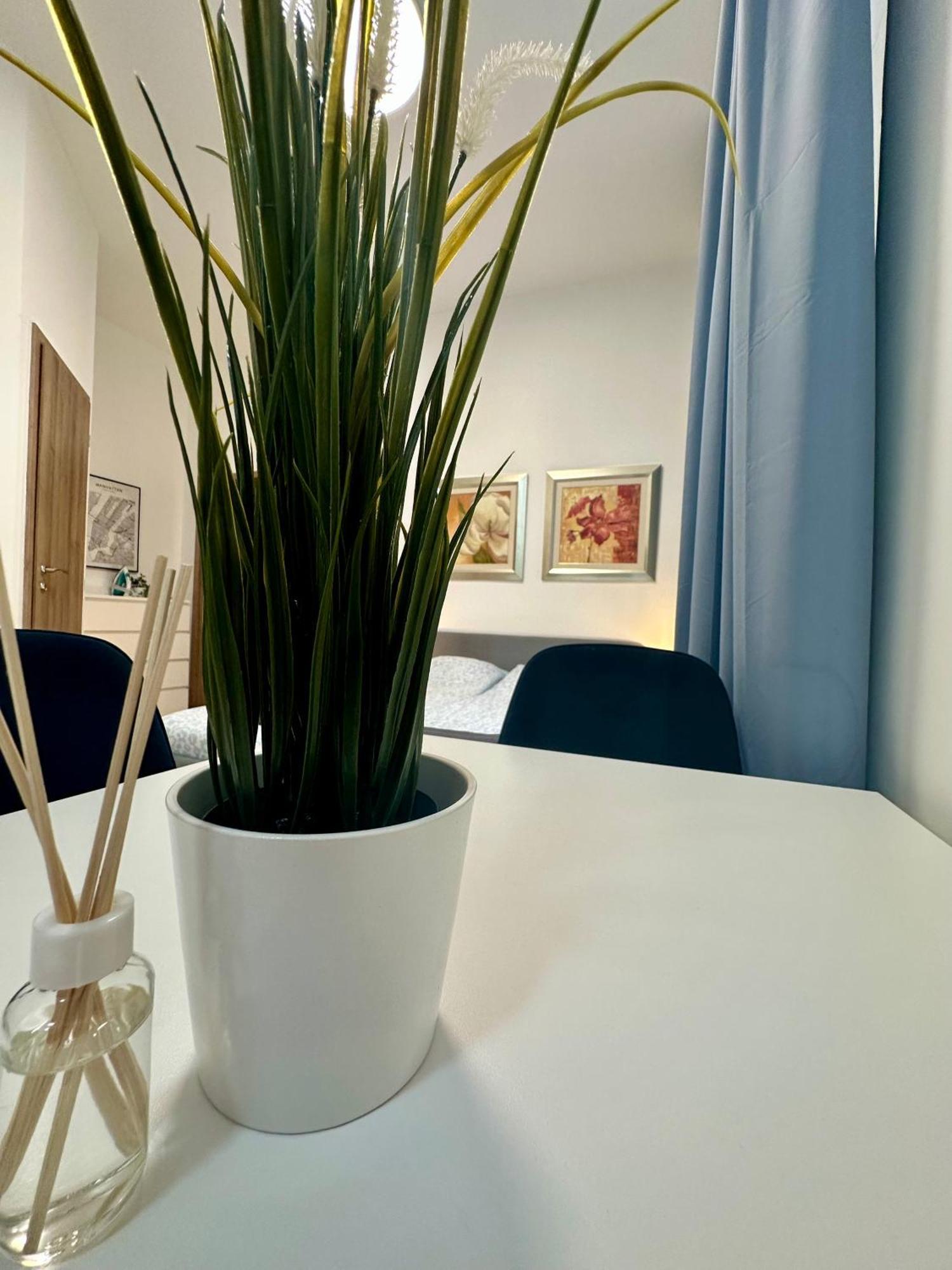 Cozy Centre Apartments Budapešť Exteriér fotografie